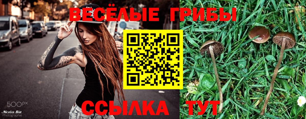 Изобильный  Галлюциногенные грибы Psilocybe  Вход с VPN 