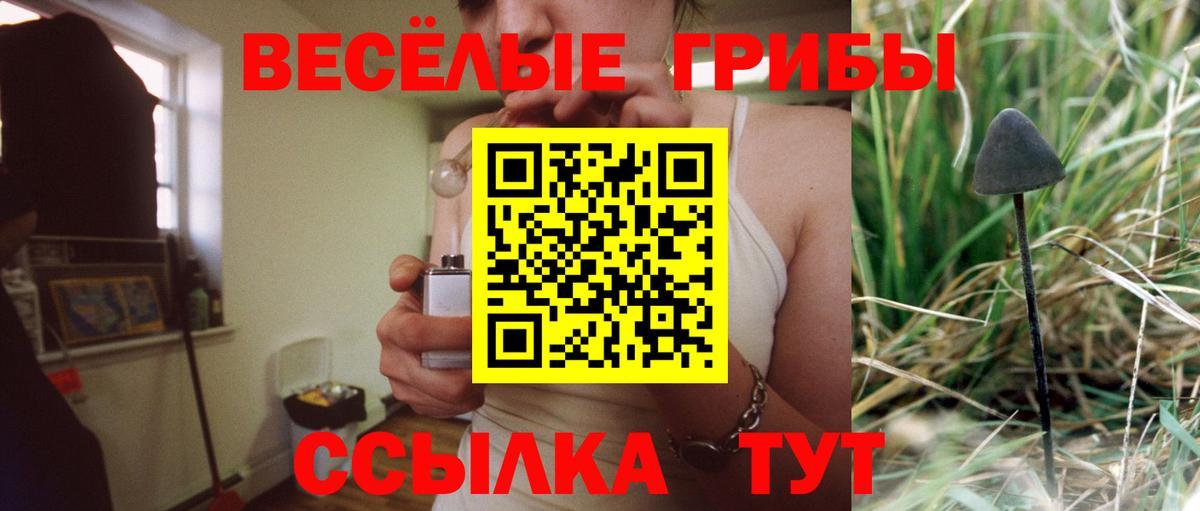 Псилоцибиновые грибы Psilocybine cubensis Изобильный