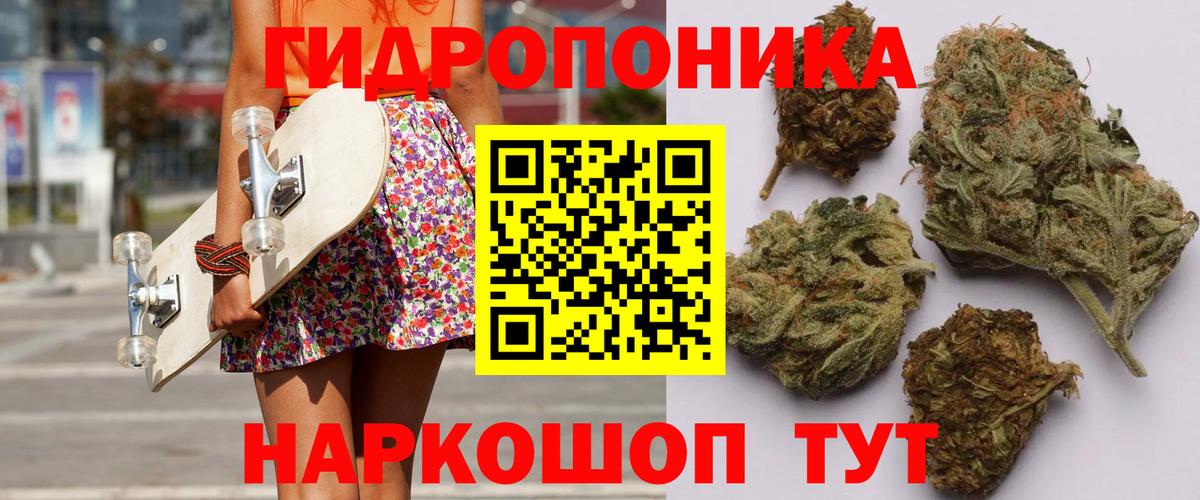 Бошки Шишки SATIVA & INDICA  Канабис VHQ  Изобильный  Марихуана конопля  Вход с VPN 